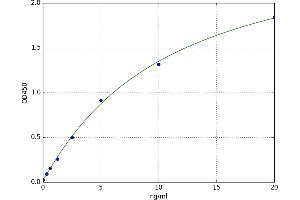 alpha Hemoglobin Stabilizing Protein (aHSP) ELISA Kit