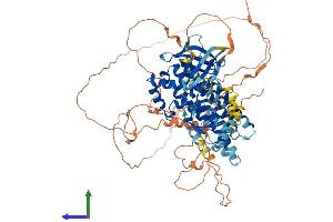AlphaFold protein structure predicition of Mouse Recombinant Arhgef19 Protein, UniprotID Q8BWA8