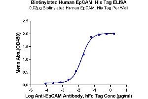 Immobilized Biotinylated Human EpCAM, His Tag at 0.