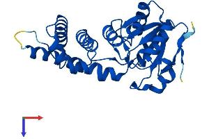 AlphaFold protein structure predicition of Mouse Recombinant Enoph1 Protein, UniprotID Q8BGB7