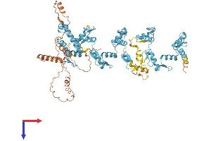 AlphaFold protein structure predicition of Human Recombinant RBAK Protein, UniprotID Q9NYW8
