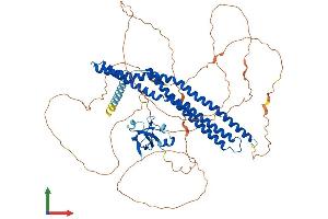 AlphaFold protein structure predicition of Human Recombinant AMPH Protein, UniprotID P49418