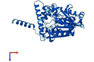 AlphaFold protein structure predicition of Human Recombinant AADAC Protein, UniprotID P22760