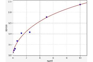 Protein Kinase C, epsilon (PRKCE) ELISA Kit