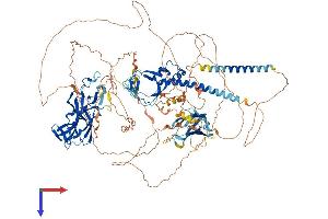 AlphaFold protein structure predicition of Mouse Recombinant Myrf Protein, UniprotID Q3UR85