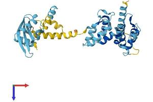 AlphaFold protein structure predicition of Mouse Recombinant Moap1 Protein, UniprotID Q9ERH6