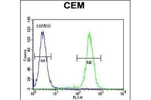 HIST1H2B Antibody (Center) (ABIN654684 and ABIN2844377) flow cytometric analysis of CEM cells (right histogram) compared to a negative control cell (left histogram). (HIST1H2BJ anticorps  (AA 57-86))