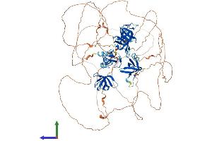 AlphaFold protein structure predicition of Human Recombinant SH3RF1 Protein, UniprotID Q7Z6J0