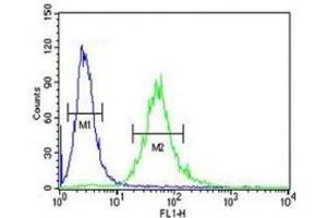 CEA antibody flow cytometric analysis of 293 cells (right histogram) compared to a negative control (left histogram).