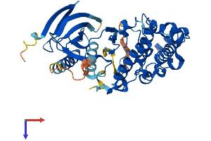 AlphaFold protein structure predicition of Mouse Recombinant Mapk8 Protein, UniprotID Q91Y86