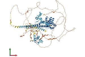 AlphaFold protein structure predicition of Human Recombinant CHERP Protein, UniprotID Q8IWX8