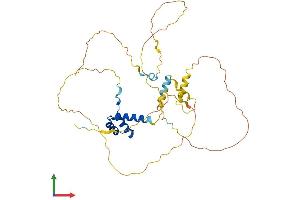 AlphaFold protein structure predicition of Human Recombinant VSX1 Protein, UniprotID Q9NZR4