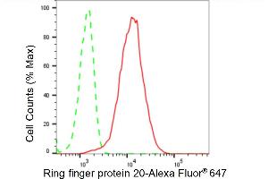 Flow cytometric analysis of Ring finger protein 20 expression in HeLa cells using Ring finger protein 20 antibody (ABIN7800246), 1:2,000). (Recombinant RNF20 anticorps)