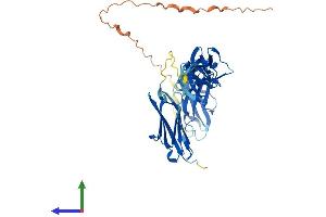 AlphaFold protein structure predicition of Mouse Recombinant Mybph Protein, UniprotID P70402