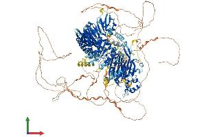 AlphaFold protein structure predicition of Human Recombinant SYNJ1 Protein, UniprotID O43426