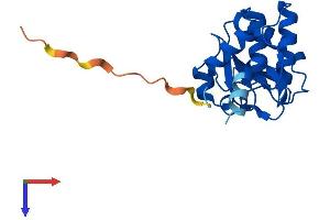AlphaFold protein structure predicition of Human Recombinant DUSP21 Protein, UniprotID Q9H596