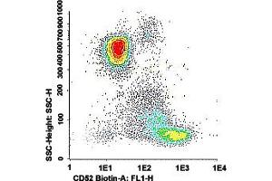 Flow cytometric analysis of human peripheral blood lymphocytes with CD52 monoclonal antibody, clone HI186 (Biotin) .