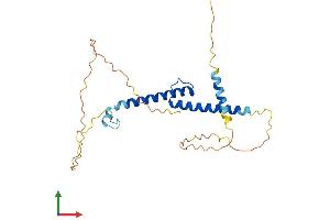 AlphaFold protein structure predicition of Mouse Recombinant Myf6 Protein, UniprotID P15375