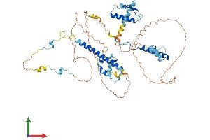 AlphaFold protein structure predicition of Human Recombinant RAD21L1 Protein, UniprotID Q9H4I0