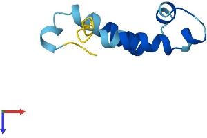 AlphaFold protein structure predicition of Mouse Recombinant Coa5 Protein, UniprotID Q99M07