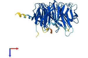 AlphaFold protein structure predicition of Human Recombinant GNB1L Protein, UniprotID Q9BYB4