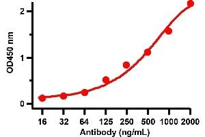 ELISA Validation with SARS-CoV-2 (COVID-19) Spike Recombinant ProteinAntibodies: SARS-CoV-2 (COVID-19) Spike antibody, ABIN6952968 (1 μg/mL). (SARS-CoV-2 Spike anticorps  (RBD))