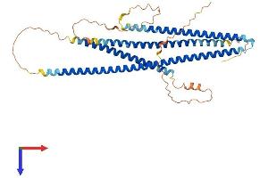 AlphaFold protein structure predicition of Mouse Recombinant Ccdc78 Protein, UniprotID D3Z5T1