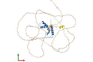 AlphaFold protein structure predicition of Human Recombinant SOX4 Protein, UniprotID Q06945