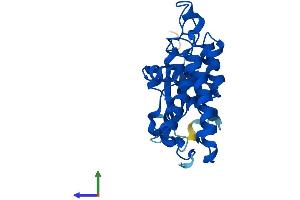 AlphaFold protein structure predicition of Mouse Recombinant Clic3 Protein, UniprotID Q9D7P7