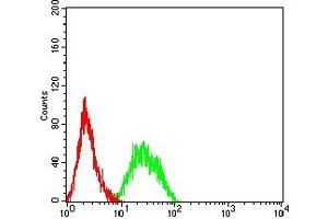 Flow cytometric analysis of HL-60 cells using LRP6 mouse mAb (green) and negative control (red).