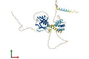 AlphaFold protein structure predicition of Human Recombinant CCM2 Protein, UniprotID Q9BSQ5