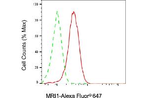 Flow cytometric analysis of MRI1 expression in HAP-1 cells using MRI1 antibody (ABIN7799398), 1:2,000). (MRI1 anticorps)