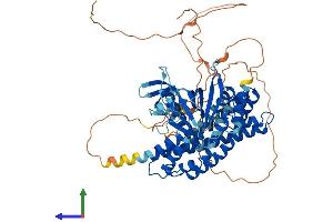 AlphaFold protein structure predicition of Human Recombinant SPATA13 Protein, UniprotID Q96N96