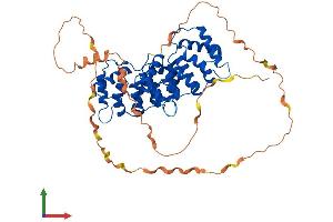 AlphaFold protein structure predicition of Mouse Recombinant Anxa11 Protein, UniprotID P97384
