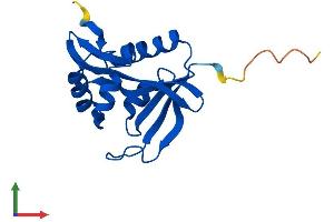 AlphaFold protein structure predicition of Mouse Recombinant Naa50 Protein, UniprotID Q6PGB6