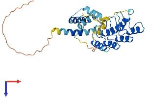 AlphaFold protein structure predicition of Mouse Recombinant Acbd6 Protein, UniprotID Q9D061