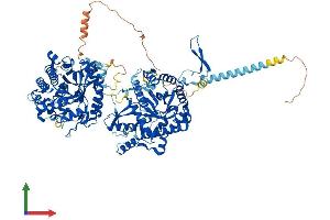 AlphaFold protein structure predicition of Mouse Recombinant Klb Protein, UniprotID Q99N32