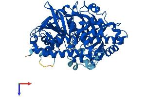 AlphaFold protein structure predicition of Mouse Recombinant Rtcb Protein, UniprotID Q99LF4