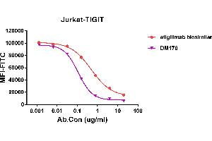 Competition assay demonstrating DM178 blockade of CD155 binding to Jurkat cell line transfected with human TIGIT,and competitive activity is better than etigilimab biosimilar.