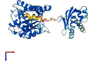 AlphaFold protein structure predicition of Human Recombinant HSDL2 Protein, UniprotID Q6YN16