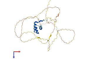 AlphaFold protein structure predicition of Mouse Recombinant Hoxd10 Protein, UniprotID P28359