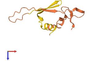 AlphaFold protein structure predicition of Human Recombinant TTTY12 Protein, UniprotID Q9BZ98