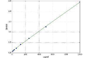 Insulin-Like 3 (Leydig Cell) (INSL3) ELISA Kit