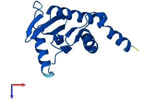 AlphaFold protein structure predicition of Mouse Recombinant Ap4s1 Protein, UniprotID Q9WVL1