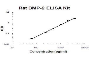 Rat BMP-2 Accusignal ELISA Kit Rat BMP-2 AccuSignal ELISA Kit standard curve. (BMP2 Kit ELISA)
