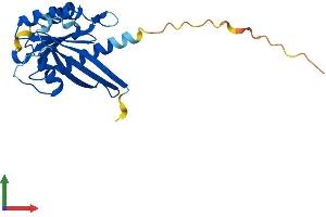 AlphaFold protein structure predicition of Mouse Recombinant Rab38 Protein, UniprotID Q8QZZ8