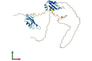 AlphaFold protein structure predicition of Human Recombinant MSI2 Protein, UniprotID Q96DH6