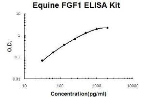 Horse equine FGF1 PicoKine ELISA Kit standard curve (FGF1 Kit ELISA)