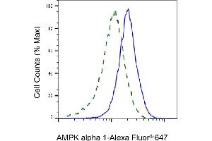 anti-Protein Kinase, AMP-Activated, alpha 1 Catalytic Subunit (PRKAA1) antibody
