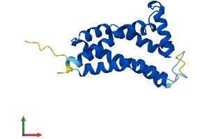 AlphaFold protein structure predicition of Human Recombinant TMEM97 Protein, UniprotID Q5BJF2